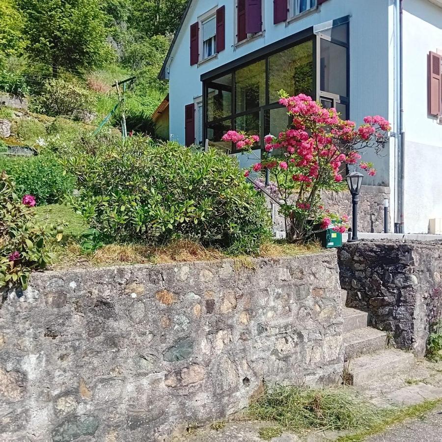 Gite Monts Et Merveilles Mollau Bagian luar foto