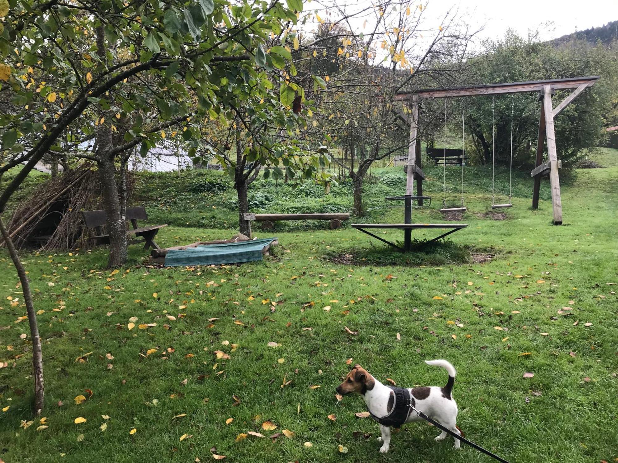Gite Monts Et Merveilles Mollau Bagian luar foto